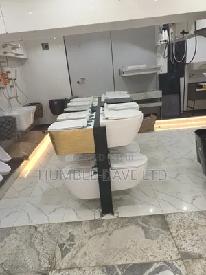 Design Executive Conceal Toilet Seat
