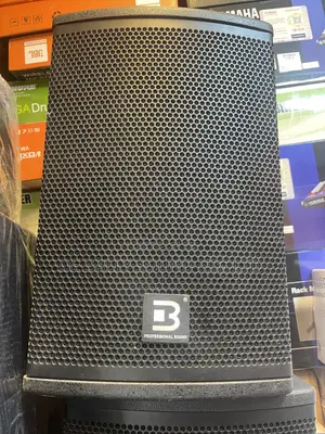 B Professional Sound PA Speaker – High Power Loudspeaker