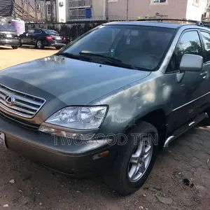 Lexus RX 300 4WD 2001 Gray