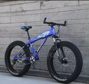Fat Tyre Bicycle