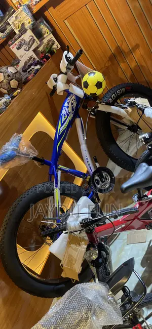Fat Tyre Bicycle