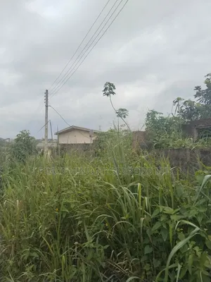For Sale Full Plot Fenced Round and Gated in Emerald City Shimawa