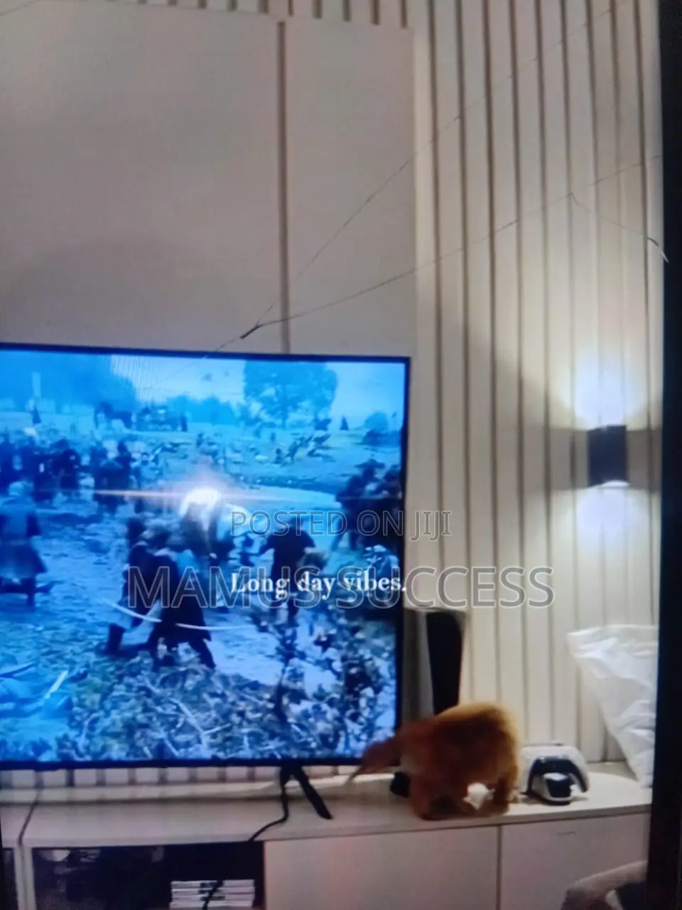 TV Console