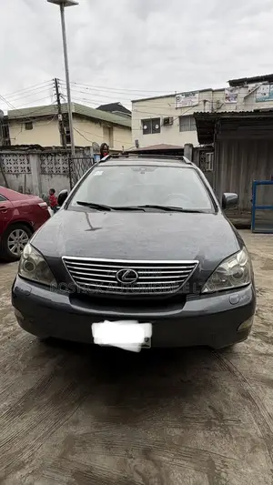 Lexus RX 330 2006 Gray