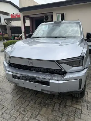 New Dongfeng EV EX1 2025 Gray