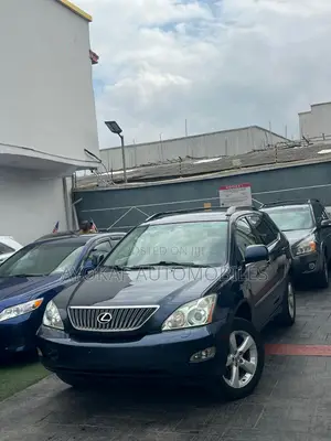 Lexus RX 330 2004 Gray