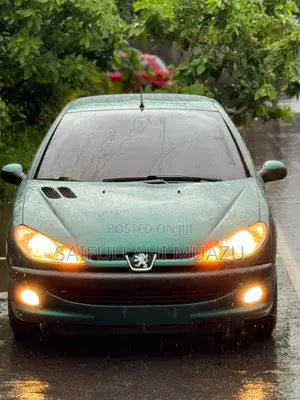 Peugeot 206 2004 Green