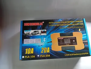 10A Suoer Intelligent Battery Charger: 12v/24v