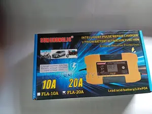10A Suoer Intelligent Battery Charger: 12v/24v
