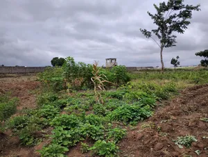 Residential Plot