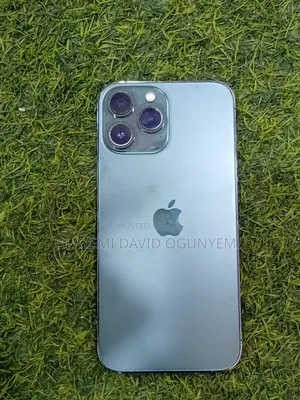Apple iPhone 13 Pro Max 128 GB Gray