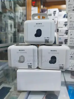Sony WF-1000XM6 Bud