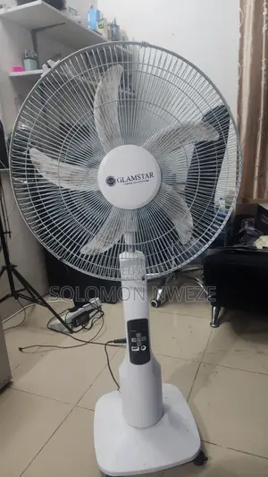 Standing Fan