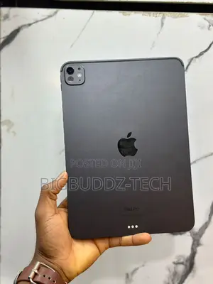 Apple iPad Pro 11 (2024) 256 GB Gray