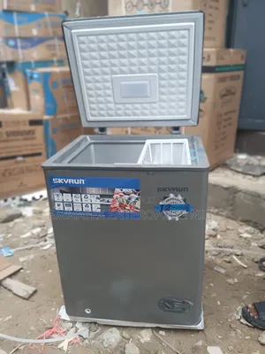 Fast Skyrun Chest Freezer Frozen Food 100