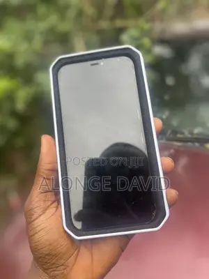 iPhone 12 Pro Max Screen