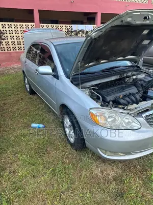 Toyota Corolla 2007 Gray