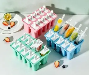 10 Slot Silicone Popsicle Mold