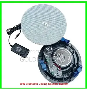30W Bluetooth Ceiling Speaker System