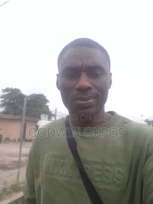 Mr Godwin Okpos Emanuel