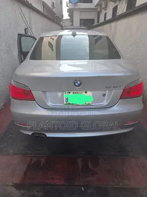 BMW 528i 2009 Silver