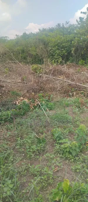 Acres of Land for Sale
