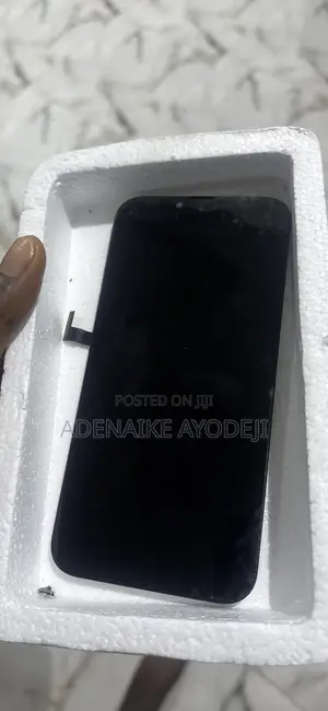 iPhone 13 Pro Max Screen