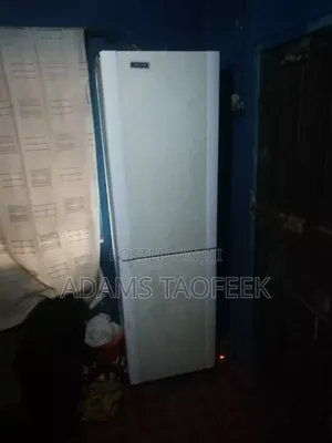 Fridge and Freezer
