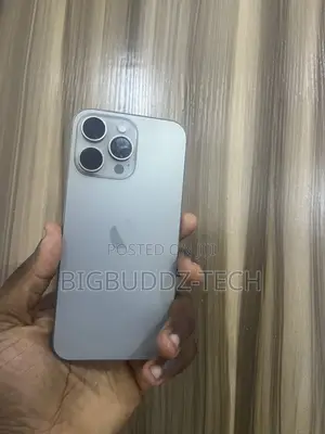 Apple iPhone 15 Pro Max 256 GB Silver