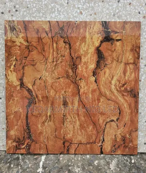 Chinese 60cm X 60cm Porcelain for Modern Homes Commercial Spaces