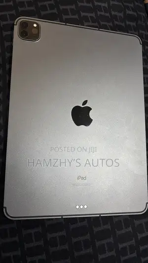Apple iPad Pro 11 (2021) 256 GB Gray