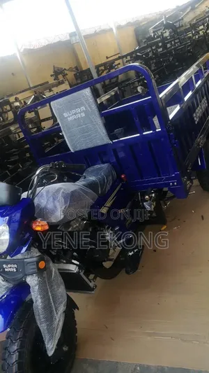 New Tricycle 2026 Blue