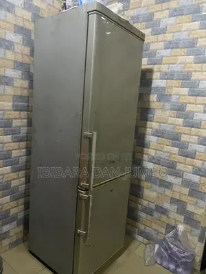 LG Express Cool Fridge and Freezer