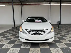 Hyundai Sonata 2011 White