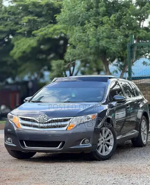 Toyota Venza 2010 Gray