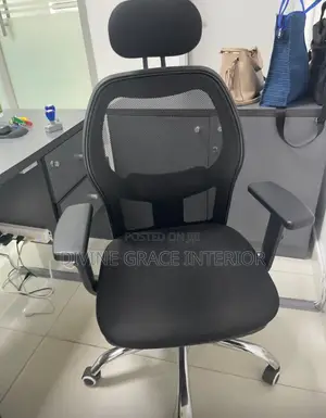 Therapeutic Mesh Office Chair