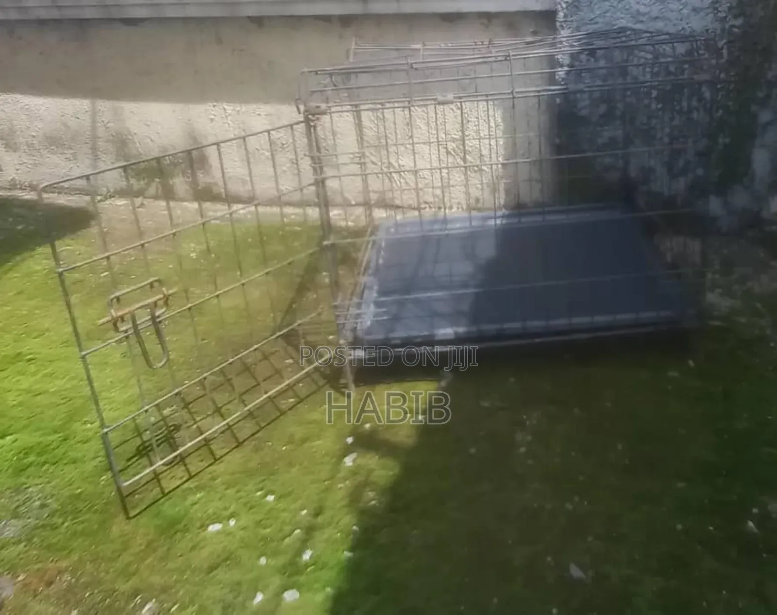 Black Dog Cage