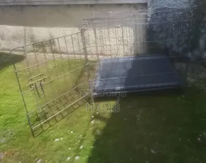 Black Dog Cage