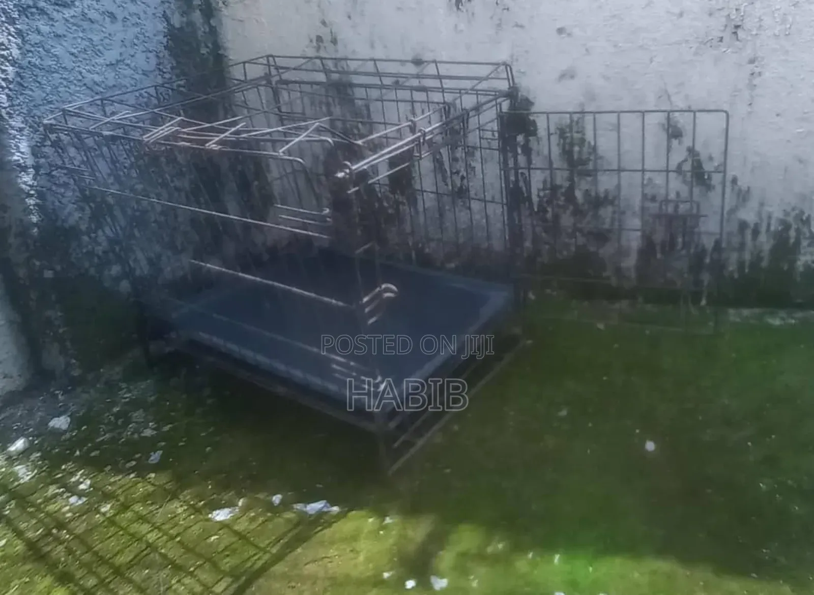 Black Dog Cage