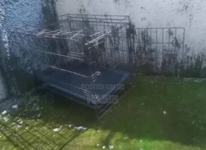 Black Dog Cage