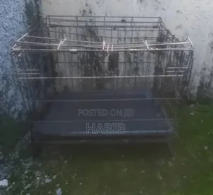 Black Dog Cage
