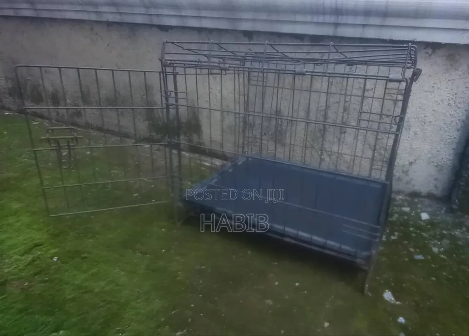 Black Dog Cage
