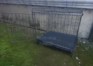 Black Dog Cage