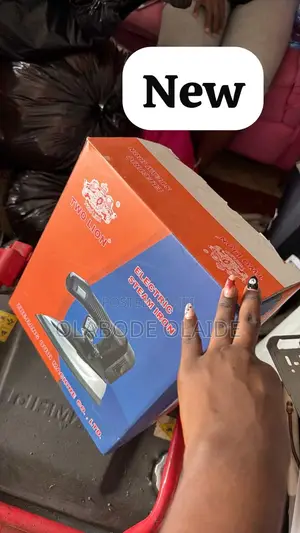 Electric Steaming Iron