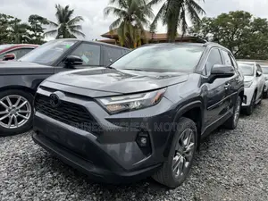Toyota RAV4 2023 Gray