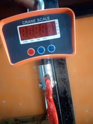 Crane Hanging Scale