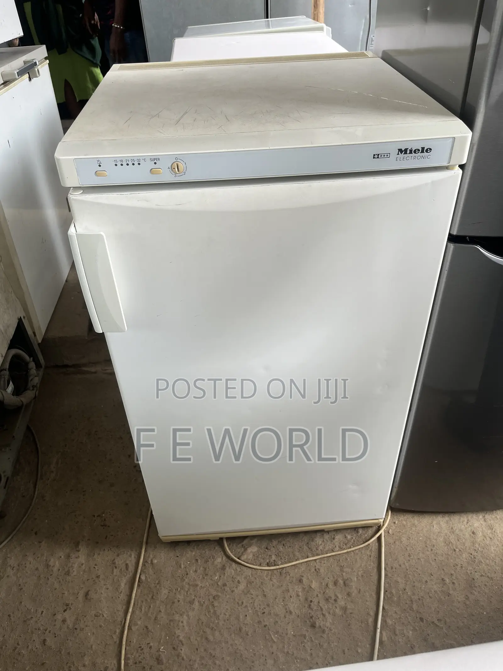 Standing Freezer
