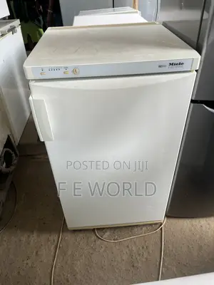 Standing Freezer