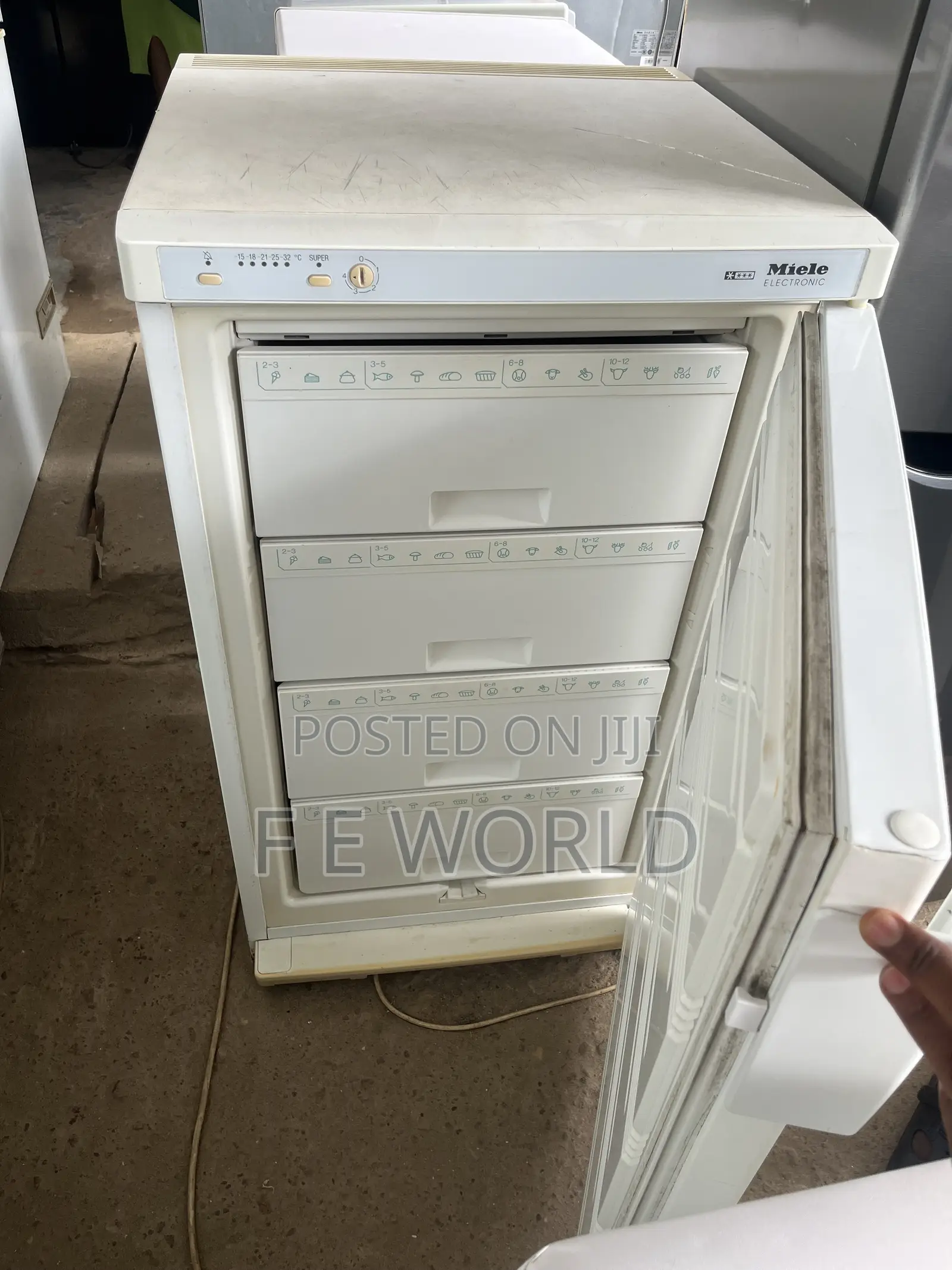 Standing Freezer