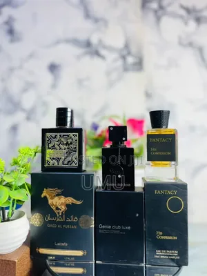 Masculine Perfume Combo  Agbowo UI